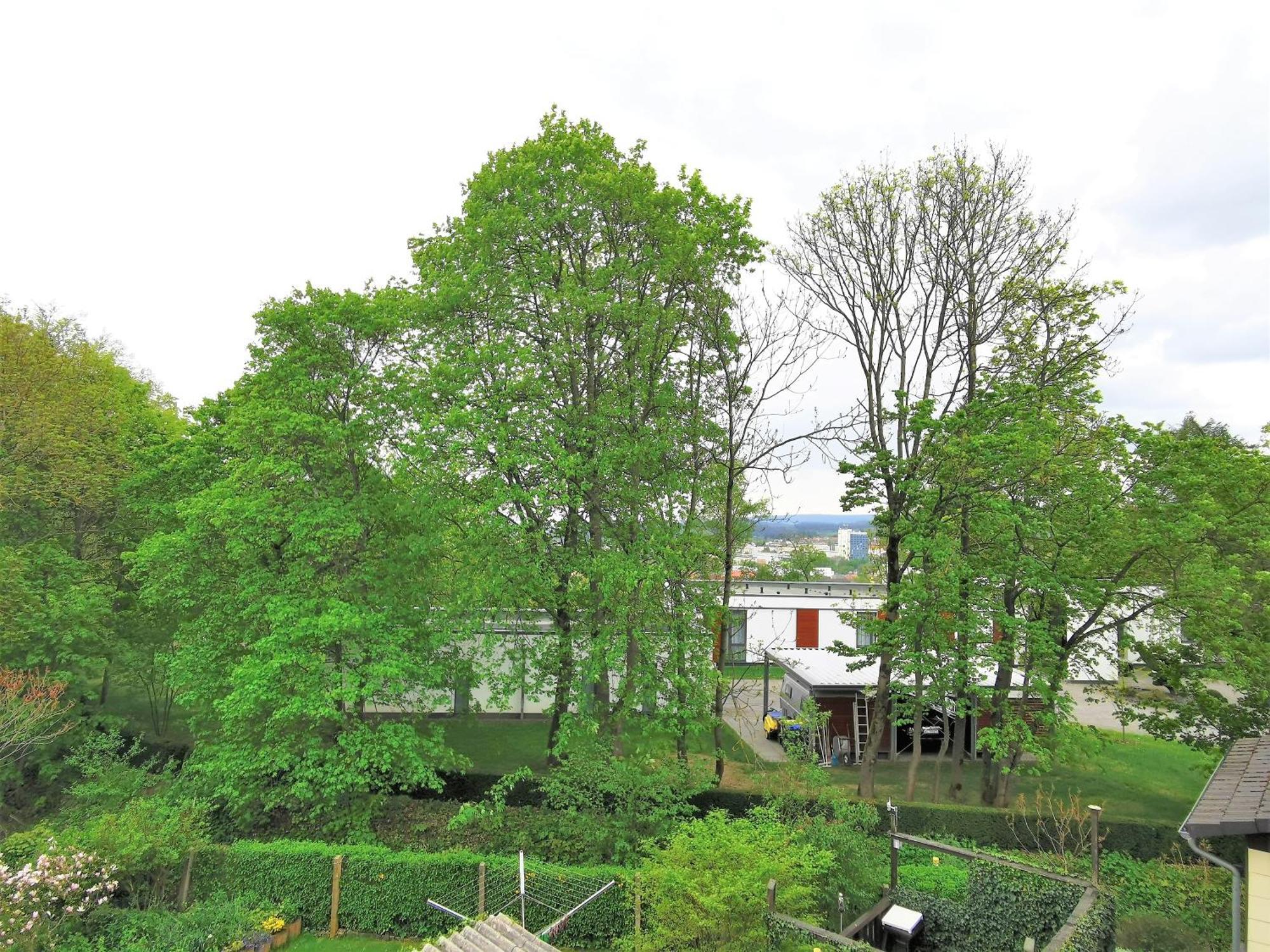 Bohnapartments - Stadtblick Zechenhaus - Balkon - Gratis Parkplatz - Wlan - Sehr Ruhig - Barrierearm Ilmenau