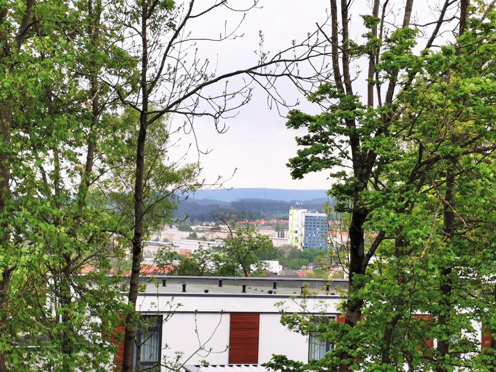 Bohnapartments - Stadtblick Zechenhaus - Balkon - Gratis Parkplatz - Wlan - Sehr Ruhig - Barrierearm *