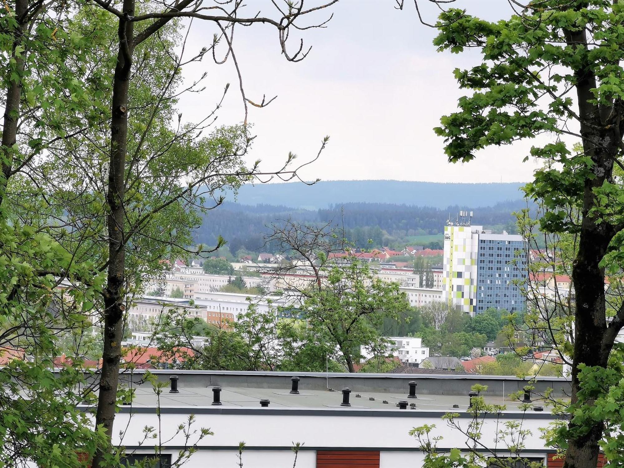 Apartment Bohnapartments - Stadtblick Zechenhaus - Balkon - Gratis Parkplatz - Wlan - Sehr Ruhig - Barrierearm Ilmenau